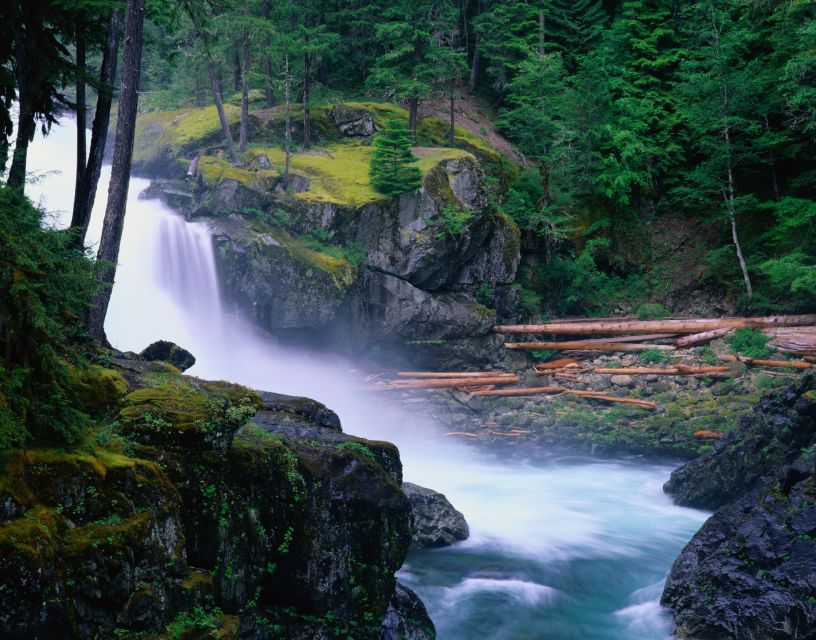 From Seattle: Mount Rainier National Park Guided Tour - Sunrise and the Sourdough Ridge walk