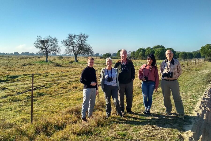 From Seville: Doñana National Park Day Trip - La Rocina and the value of walking