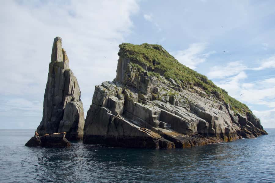 From Seward: Kenai Fjords National Park Cruise with Lunch - Key points to know before booking