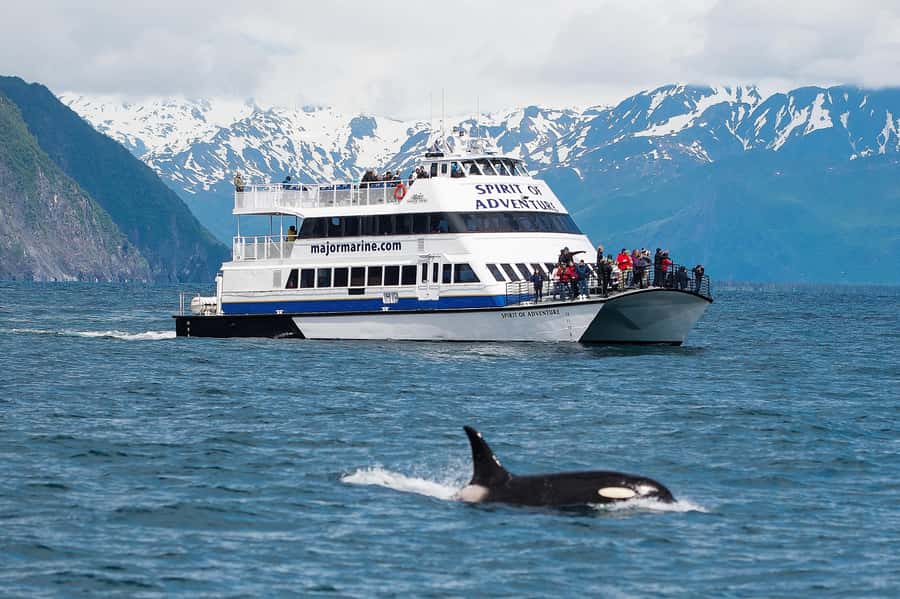 From Seward: Kenai Fjords National Park Cruise with Lunch - Bear Glacier and the route toward the Gulf of Alaska
