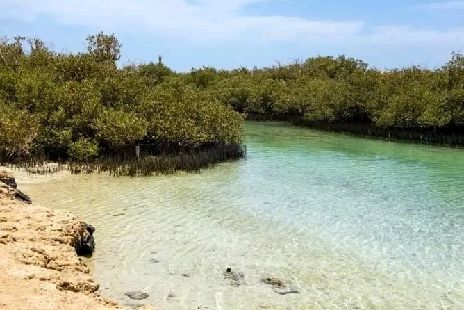 From Sharm: Ras Mohamed National Park and Magic Lake Day Tour - Guides, languages, and the human side of the tour