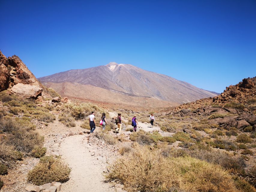 From South Tenerife: Teide National Park Tour - Key points at a glance