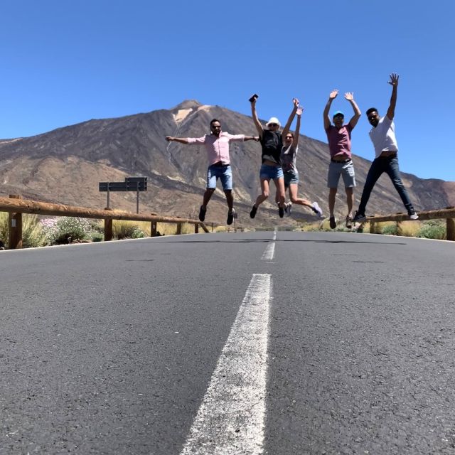 From South Tenerife: Teide National Park Tour - Why this four-hour Teide trip works well