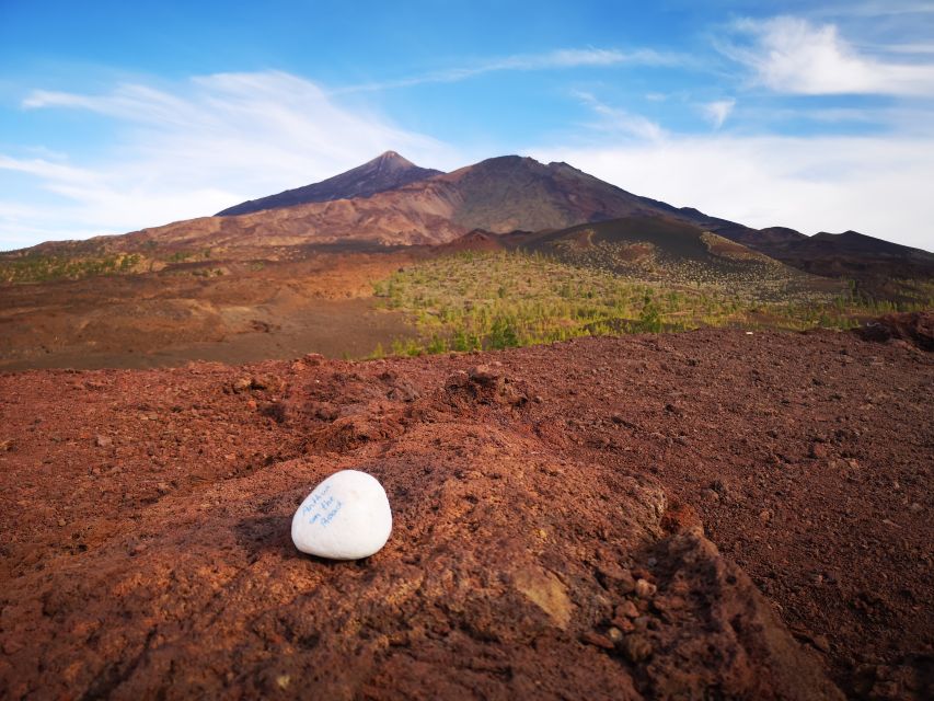 From South Tenerife: Teide National Park Tour - The small van is a strength, with one thing to check