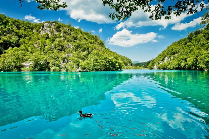From Split: Plitvice Lakes National Park Guided Tour - Who should book this Plitvice day trip