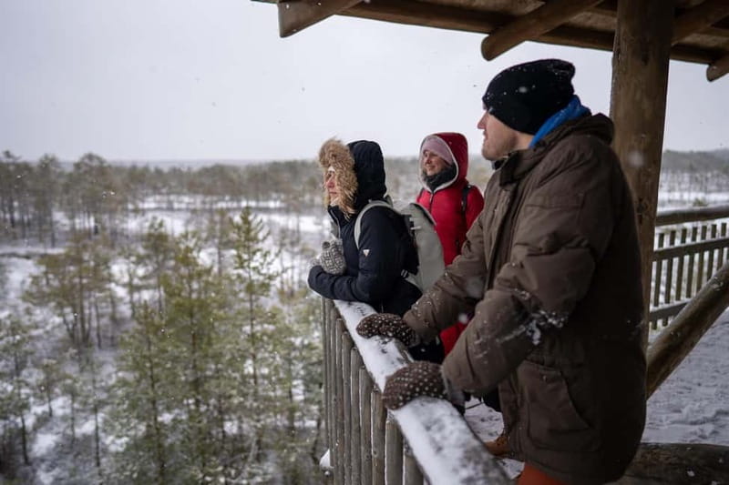 From Tallinn: Day Trip to Lahemaa National Park - Why Lahemaa is such a good break from Tallinn