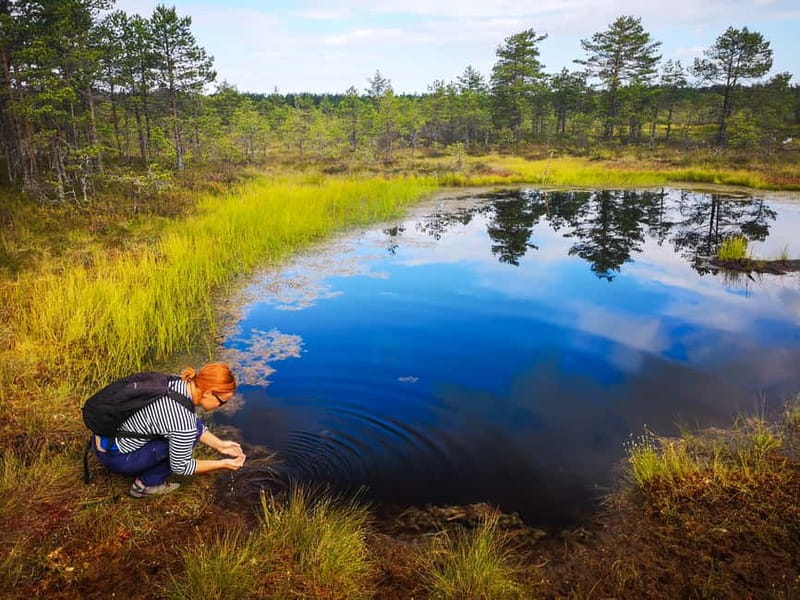 From Tallinn: Day Trip to Lahemaa National Park - The Viru bog walk is the day’s strongest experience