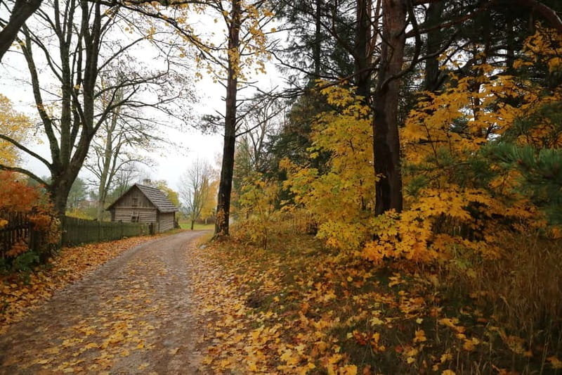 From Tallinn: Day Trip to Lahemaa National Park - Lunch is simple, local, and not included