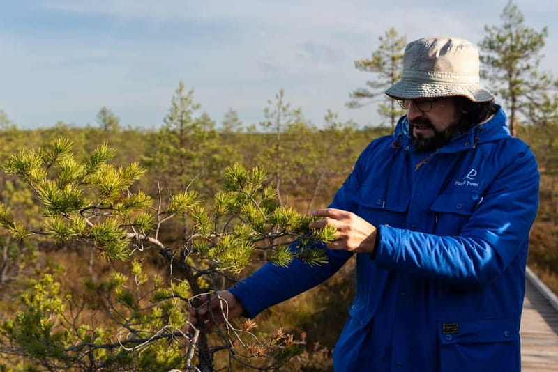 From Tallinn: Day Trip to Lahemaa National Park - Is $140 a fair price?