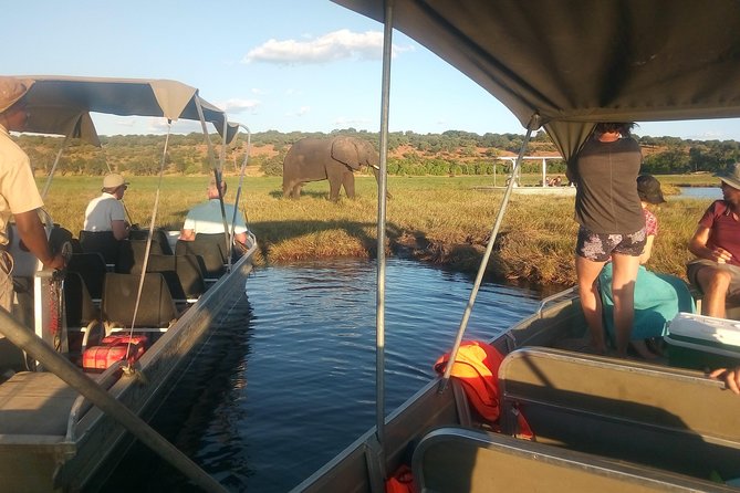 From Victoria Falls: Chobe National Park Small Group Tour - Lunch beside the river around 12:30 p.m.