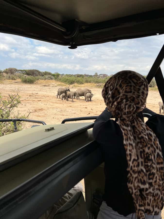 From Zanzibar: Nyerere National Park Game Drive with Lunch - A full morning among elephants, lions, and hippos