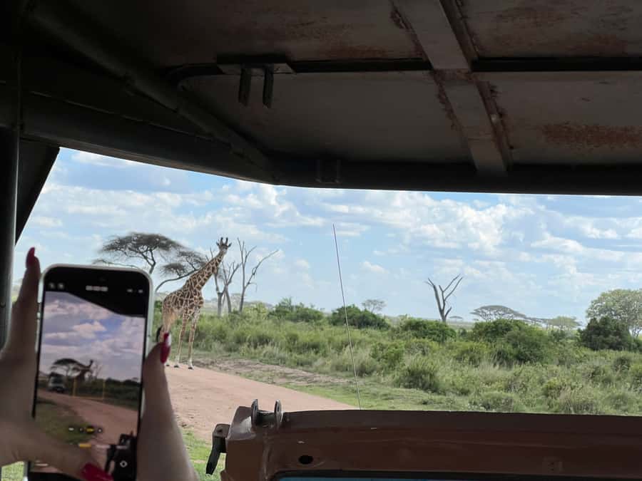 From Zanzibar: Nyerere National Park Game Drive with Lunch - Who will get the most value from $550?