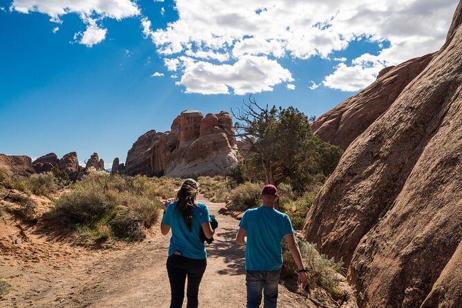 Full-Day Audio Driving Tour of Arches National Park - Panorama Point and Salt Valley widen the view