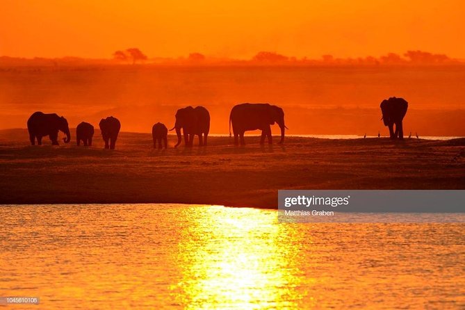 Full Day Chobe National Park Big 5 Safari - Why Chobe works so well from Victoria Falls