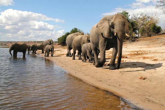 Full Day Chobe National Park Big 5 Safari - Lunch keeps the long day manageable