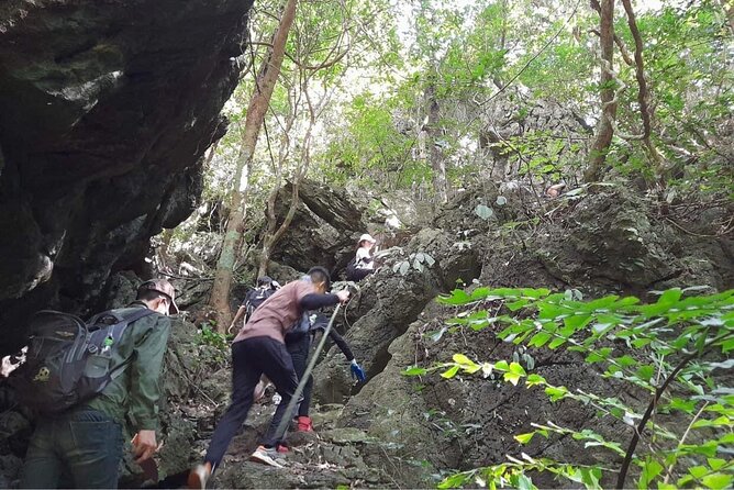 Full-Day Cuc Phuong National Park Hiking Tour - Lunch is useful, but keep expectations modest