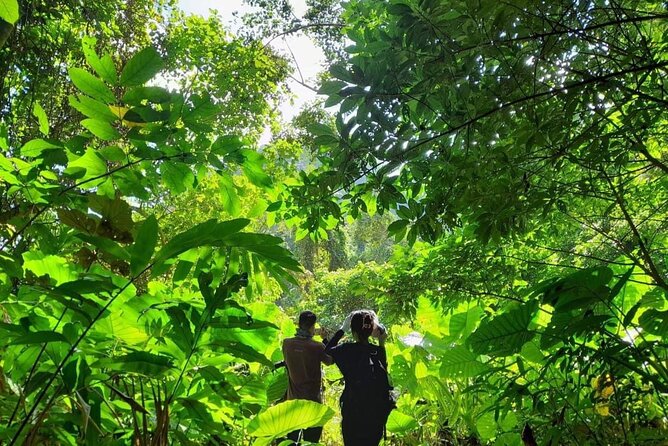 Full-Day Cuc Phuong National Park Hiking Tour - Guide quality can shape the entire experience