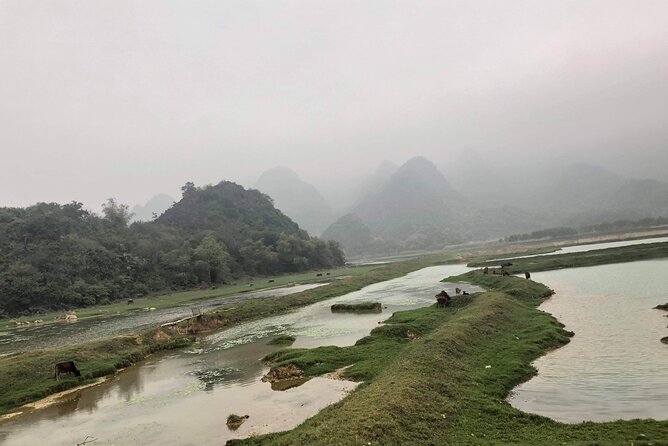 Full-Day Cuc Phuong National Park Hiking Tour - Price, group size, and what you actually receive