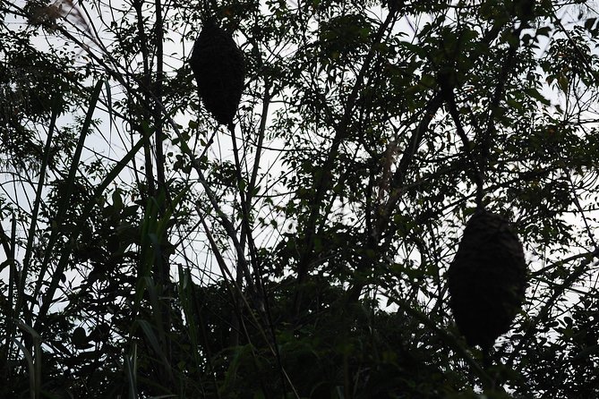 Full day hikes, Cycles, Kayaks & swims in Cat Ba National park - A full day through Cat Ba’s forest and sea