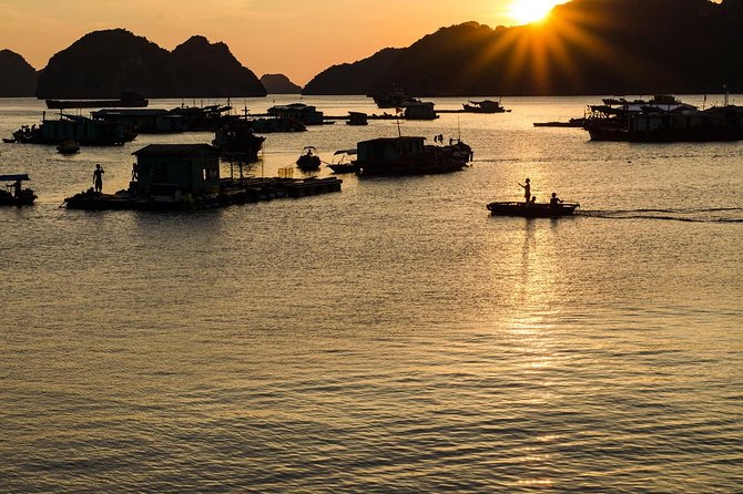Full day hikes, Cycles, Kayaks & swims in Cat Ba National park - The 6-kilometer trek to Frog Pond