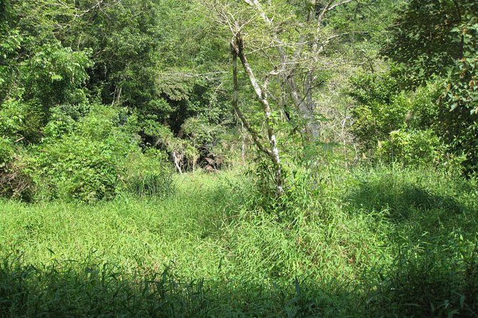 Full day hikes, Cycles, Kayaks & swims in Cat Ba National park - The forest route to Viet Hai Village