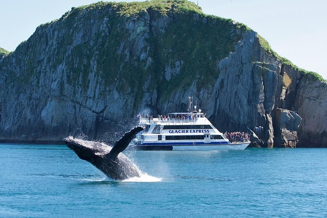 Full-Day Kenai Fjords National Park Cruise - Leaving Seward and entering Resurrection Bay