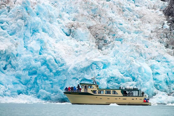 Full-Day Kenai Fjords National Park Northwestern Cruise - Wildlife viewing without false promises