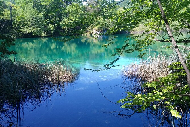 Full-Day Private Tour of Plitvice Lakes National Park from Zadar - Key points before you book