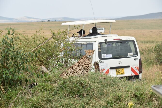 Full Day Private Tour of Tsavo East National Park from Mombasa - Guides can make or break a one-day safari