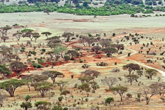 Full Day Private Tour of Tsavo East National Park from Mombasa - Who should book this Tsavo East day tour?