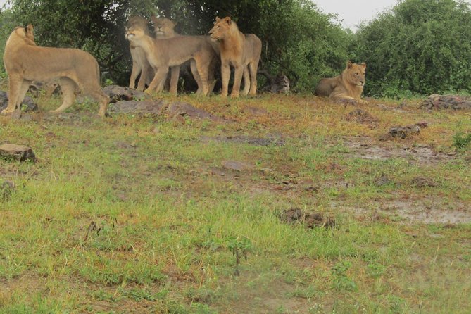 Full Day Safari Tour of Pilanesberg National Park, Open Jeep experience - Arriving at Pilanesberg in an open safari jeep