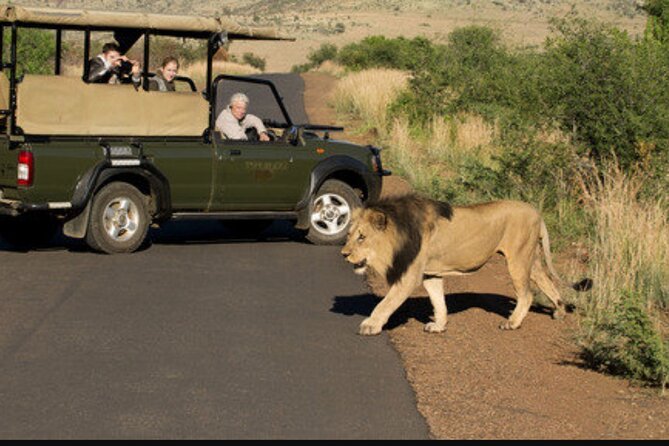 Full Day Safari Tour of Pilanesberg National Park, Open Jeep experience - Searching for the Big Five