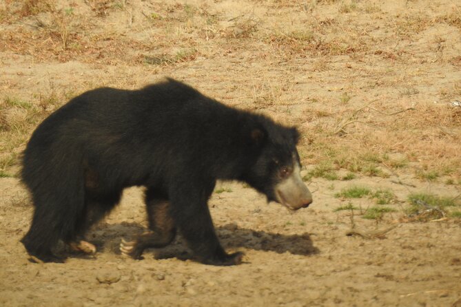 Full day Safari - Yala National Park - 04.30 am to 06.00 pm with - Janaka safari - Breakfast, lunch, and the two-hour park break