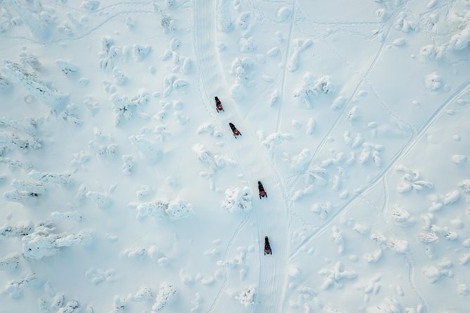 Full Day Snowmobile Safari into the Lappish Wilderness in Rovaniemi - Starting at Safartica in central Rovaniemi