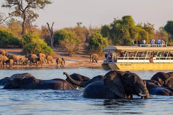 Full Day Tour to Chobe National Park and Botswana - Key things to know before booking
