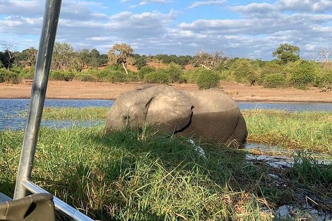 Full Day Tour to Chobe National Park and Botswana - Why this Chobe day trip is worth considering