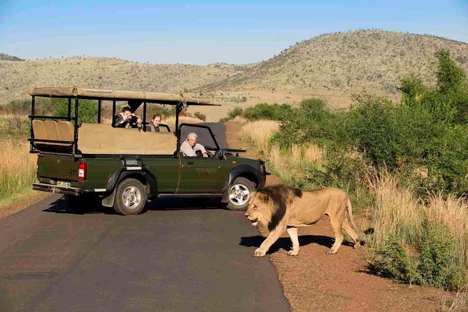 Full Day Ultimate Pilanesberg National Park Safari from Johannesburg or Pretoria - Open-vehicle seating affects your view