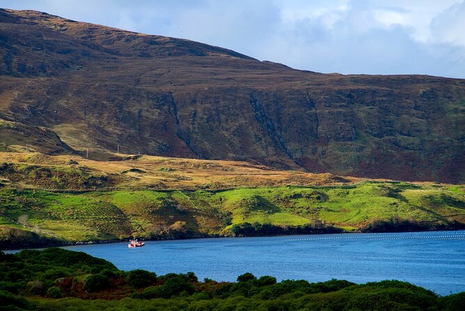 Galway to Connemara National Park Day Tour - Is $52.33 good value?