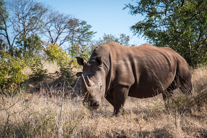 Game drive in the Mosi Oa Tunya National Park - Livingstone - What is included during the outing