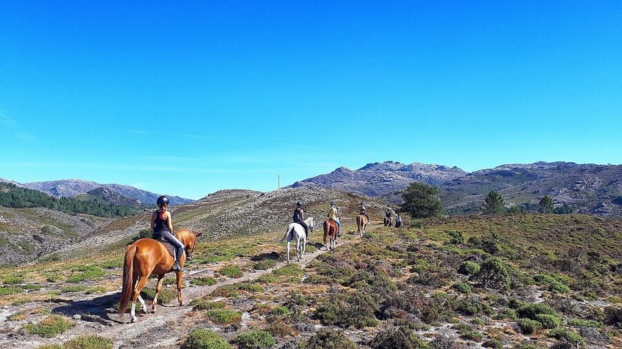 Gerês Braga: Horseback Ride in Peneda Gerês National Park - Key points to know before you ride
