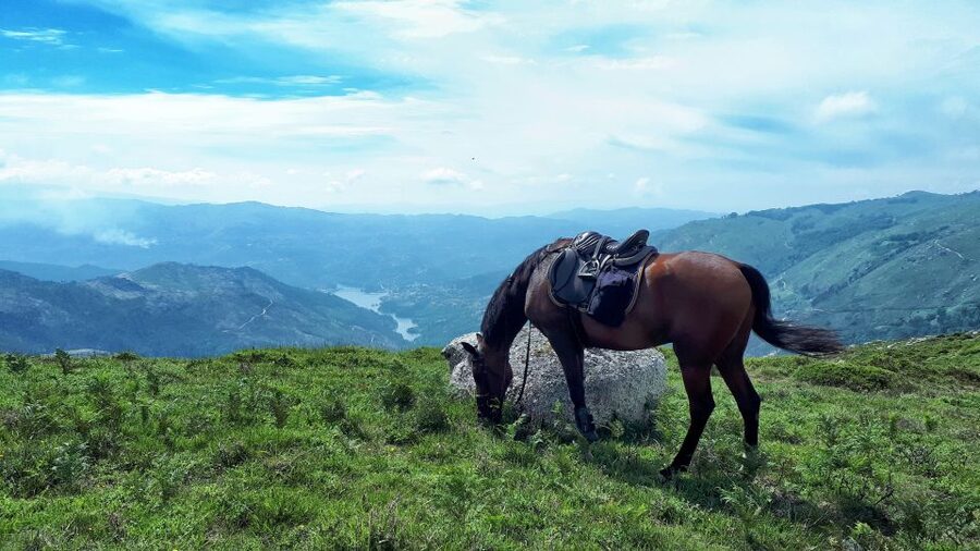 Gerês Braga: Horseback Ride in Peneda Gerês National Park - Why this horse ride feels different