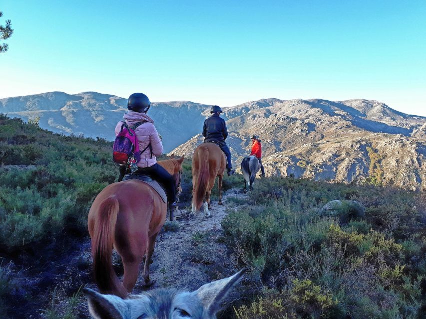 Gerês Braga: Horseback Ride in Peneda Gerês National Park - Riding up the mountain trails