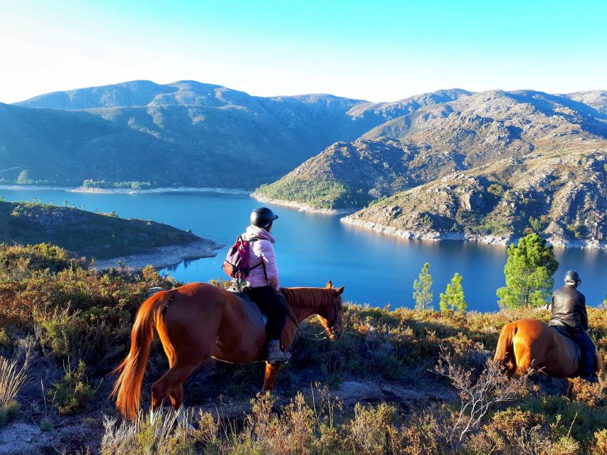 Gerês Braga: Horseback Ride in Peneda Gerês National Park - The guide, the horses, and the pace