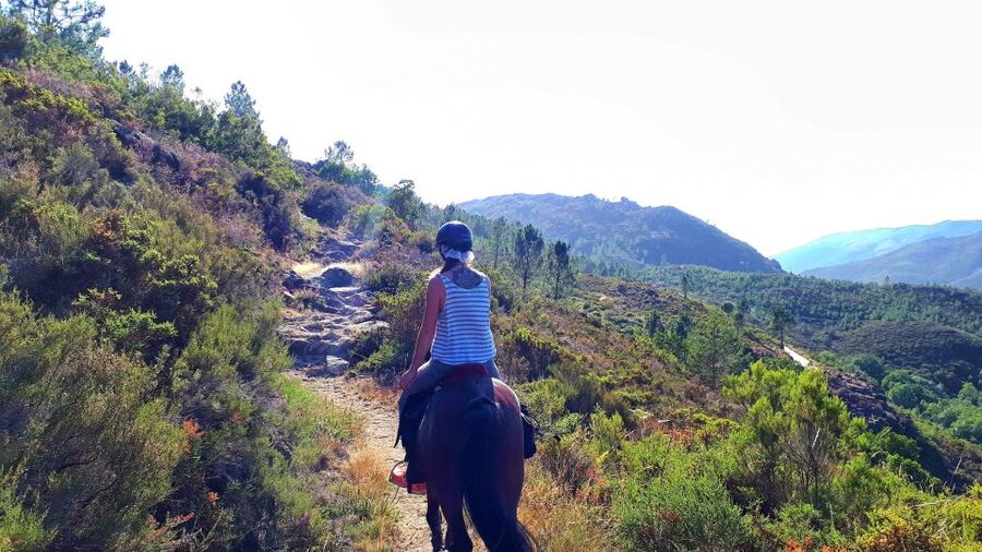 Gerês Braga: Horseback Ride in Peneda Gerês National Park - Is $97 a fair price?