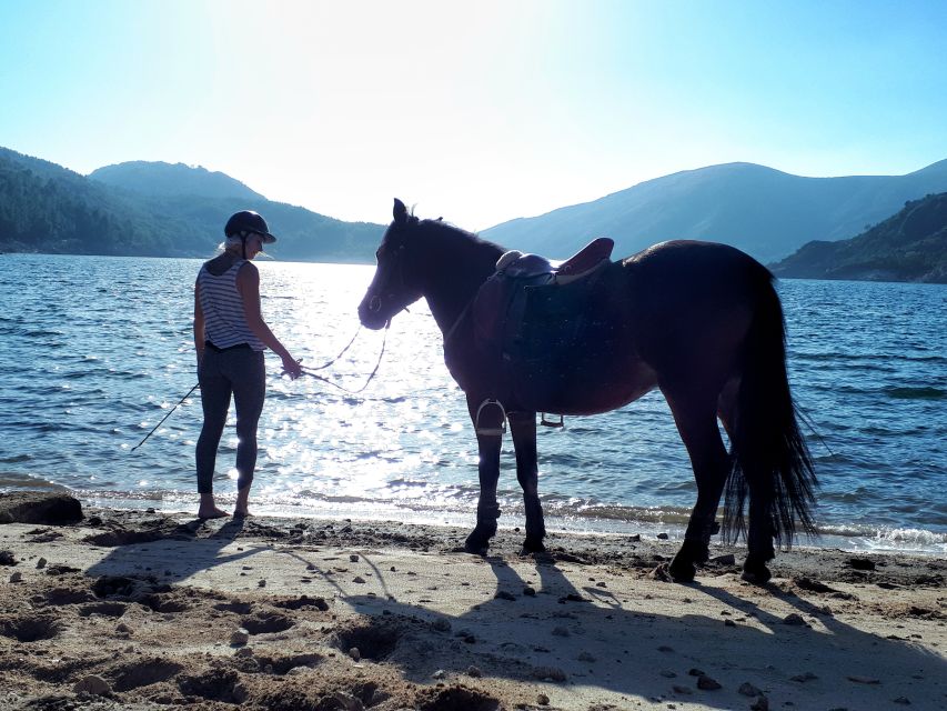 Gerês Braga: Horseback Ride in Peneda Gerês National Park - Who should book this experience?