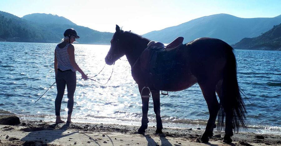 Gerês Braga: Horseback Ride in Peneda Gerês National Park - Meeting the horses at Campo do Gerês