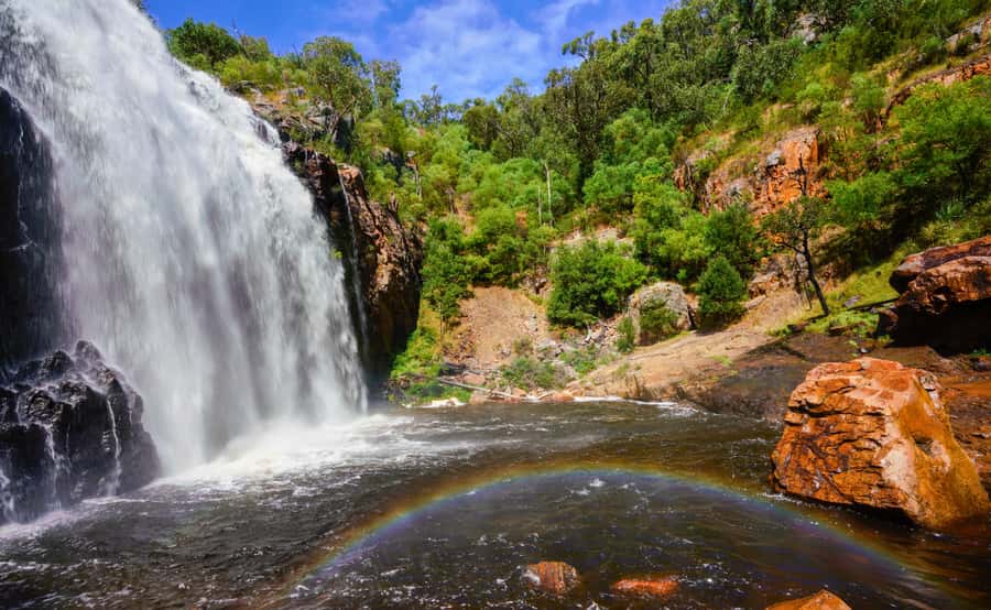 Grampians National Park Small-Group Eco Day Tour - Key points to know before booking