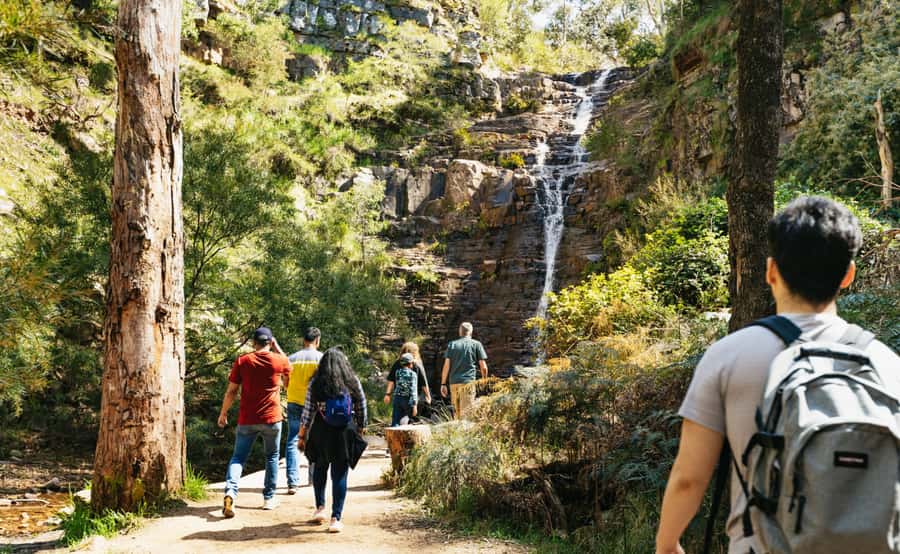Grampians National Park Small-Group Eco Day Tour - Silverband Falls and the first short walk