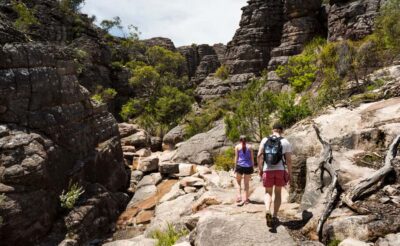 Grampians National Park Small-Group Eco Day Tour
