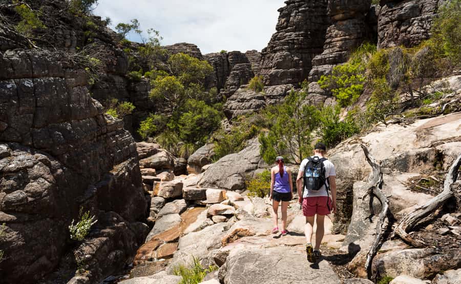 Grampians National Park Small-Group Eco Day Tour - Ballarat and the Eureka Centre: a useful first pause